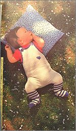 see13b.jpg(15353 byte)